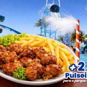 Frango a passarinho com fritas + 2 Passaportes para o Parque Aquático de R$104,90 por R$99,90.